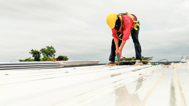 Best Roof Coating and Sealing  in San Augustine, TX